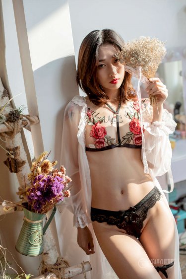 恶魔法则动画开播